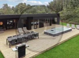 Nice Home In Ejstrupholm With Sauna