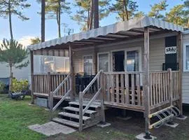 MH539 La Cabane des vagues