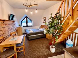 Penzion Mona Rooms & Apartments, hotel en Harrachov