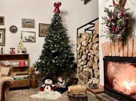 Entire House @Saschiz 130, hotel in Saschiz