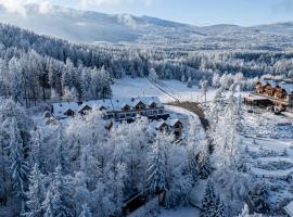 Osada Seidorf, serviced apartment in Karpacz