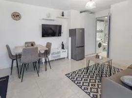 Superbe appartement proche de stations de ski