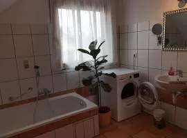 Nichtraucher Ferienwohnung Mit Balkon