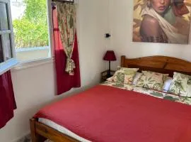 Logement « Alpinia »