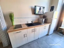 Les Glaneuses le Studio centre-bourg à 3 min du Puy duFou