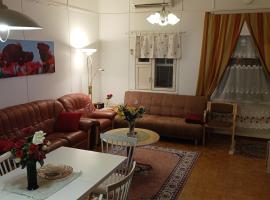 Tilava 60m2 kaksio 2mh max 6 henkilölle iso oma yksityispiha ja autolämmityspaikka Prisma ja ravintola 200m hiihtolatu ja bussipysäkki 50m lentokenttä 9 km, Cottage in Savonlinna