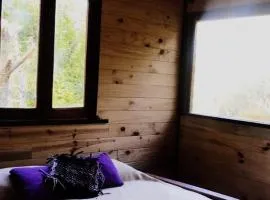 Cabaña Doña Teresa 2 Huéspedes