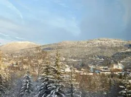 Trysil turistesenter hytte