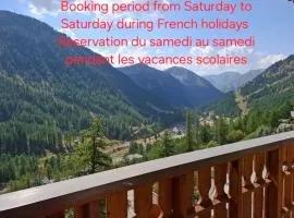 Très bel appartement dans le centre d'Isola 2000 avec balcon exposé sud ouest