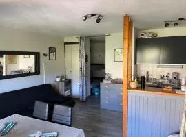 Parc des Ecrins 05290 Les MAISONNETTES APPARTEMENT 4 Pers