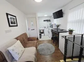 Flat 5 min From Stadium