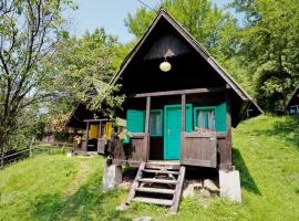 Pensiunea Dacica, hotel v mestu Boşorod