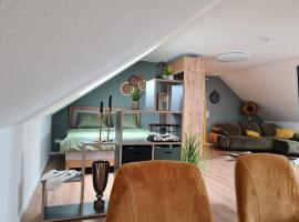Studiowohnung für 2 DG, hotel v mestu Schwedelbach