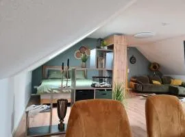 Studiowohnung für 2 DG