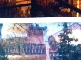 Apartments & Rooms -MDL Lazić