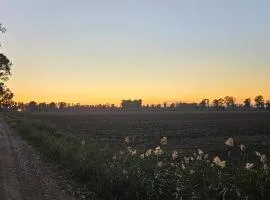 Casa Botanica Boho Chic