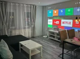 Stylish Home Theater Apartment 3