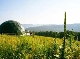 Catskills Glamping at 'The Deer Dome' in Franklin