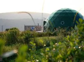 Glamping Getaway at 'The Coyote Dome' in Franklin