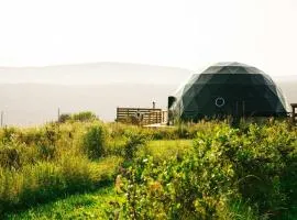 'The Bear Dome' with Barrel Hot Tub in Franklin