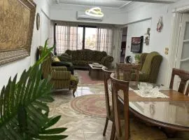 amazing Nile view fully furnished apartment