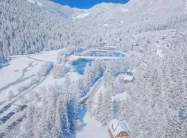 Alpine Retreat Gaja Kranjska Gora - Happy Rentals