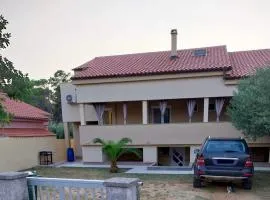 Apartmani Lučić - Privlaka