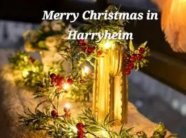 Stay harrydangil Haim