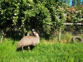 Villa Rosa House, villa in Pinto