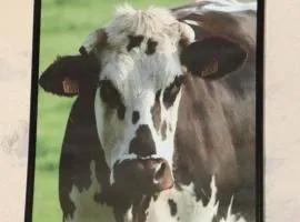 Charmante maison avec terrasse et WIFI aux portes d'Alençon - FR-1-497-163