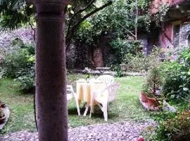 Wohnung Caprifoglio In Miasino