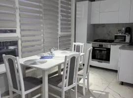 Apartament Aeroport Burebista 114