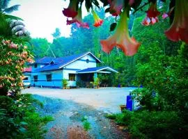 Green Palaces Homestay