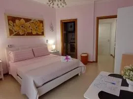 Boat dreams , garden relax