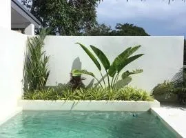 Mini villa and private pool 3