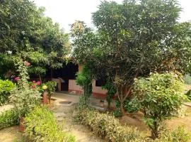 Buddhanagar Homestay