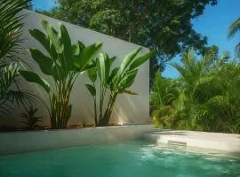 Mini tropical villa and private pool 1