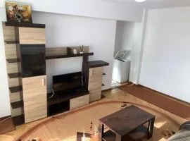 Old Center Apartment