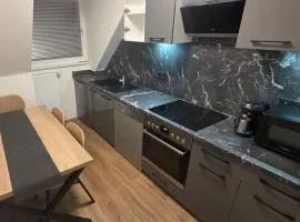 Appartment Haus Rothenhaus Hamburg