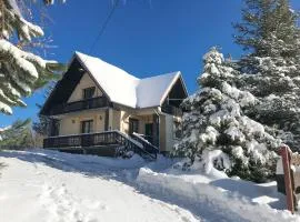 Dom na Wielkiej Polanie