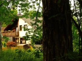 Gemütliches Appartement In Ottenhai Mit Grill