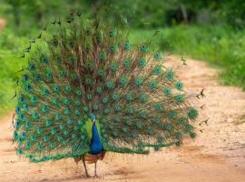 Sunny Home Udawalawa, βίλα σε Udawalawe