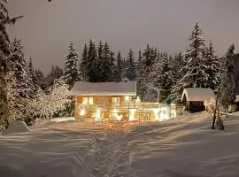 Chalet Le Plaigny - golf de Méribel