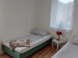 Family house in beautiful nature, ideal for fun