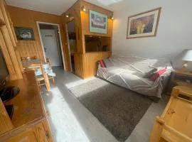 Studio proche des pistes avec balcon et animaux permis - FR-1-165A-204