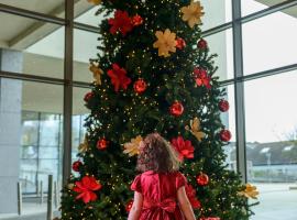 Shearwater Hotel & Spa, ξενοδοχείο σε Ballinasloe