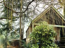 The Beech Hut, Wood Fired Hot Tub, St Kew Escapes