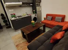 Gentle Breeze Studio 3