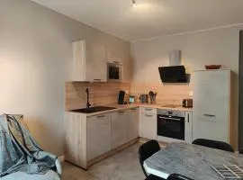 Domaine du Mélèze - T3 tout confort