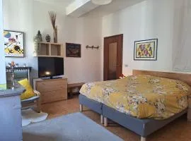 Stanza in appartamento condiviso nel centro storico di Parma